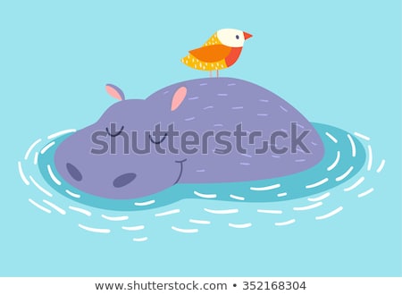 Foto stock: Hippo In The Pond