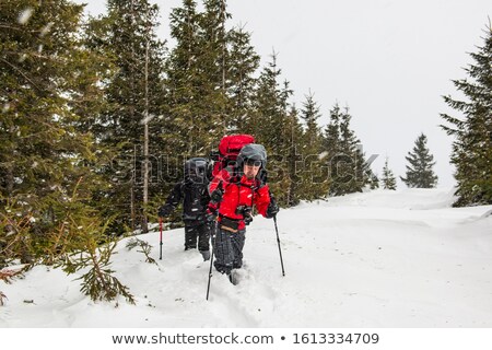 Foto d'archivio: Trekking Trail At Deep Mountains Forest Carpathian Ukraine