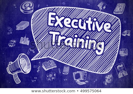 Stock fotó: Executive Training - Doodle Illustration On Blue Chalkboard