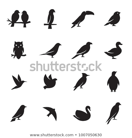 ストックフォト: Birds Icons