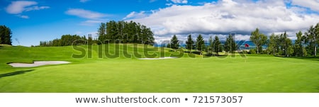Stok fotoğraf: Green Golf Course