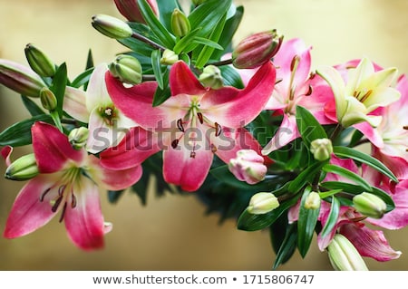 Stock photo: Natural Copper From Above Over White Background