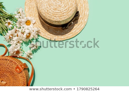 Foto stock: Daisy On The Beach