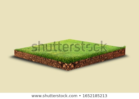 Stock photo: Green Earth Concept In Isometric View