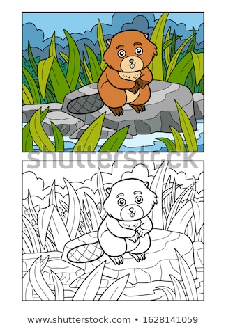 Foto stock: Canadian Beaver Color Illustration