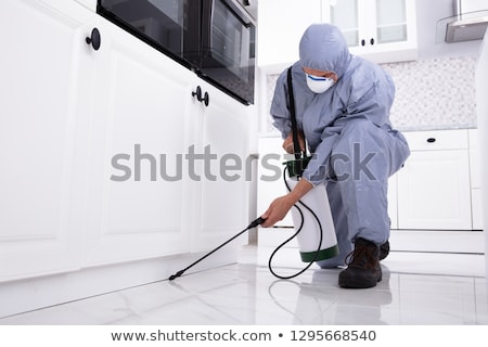 Foto d'archivio: Pest Control Worker Spraying Pesticide On White Cabinet