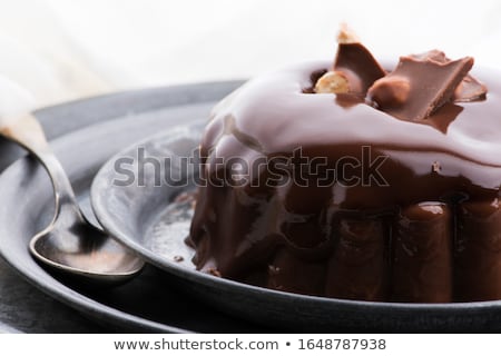 Сток-фото: Chocolate Pudding With Chocolate Dressing On A Plate