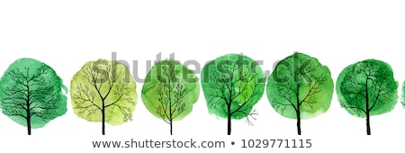 Stockfoto: Deciduous Tree Sketch