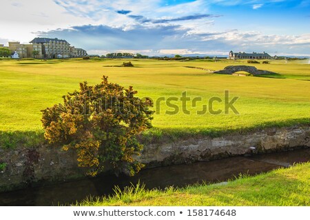 Stock photo: Golf St Andrews Old Course Links Bridge Hole 18 Scotland