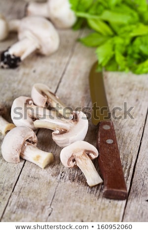 Stock fotó: Raw Mushroom And Parsley
