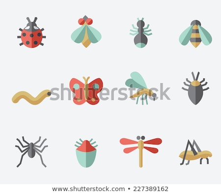 Imagine de stoc: Insects Flat Icon