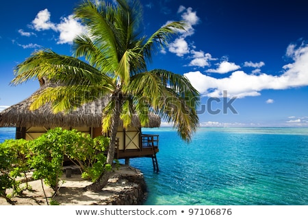 Foto stock: Tropical Bungalow And Palm Tree Next To Amazing Lagoon