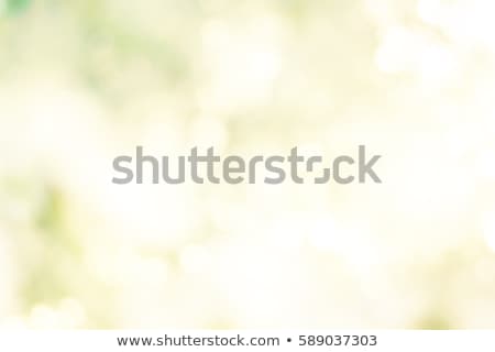 Stock photo: Yellow And Green Rays Dark Background