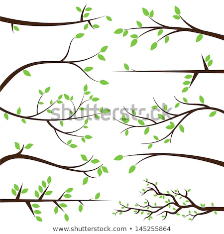 Foto stock: Vector Collection Of Stylized Branch Silhouettes