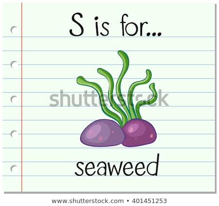 Сток-фото: Flashcard Letter S Is For Seaweed