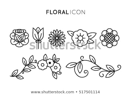 Foto d'archivio: Chrysanthemum Flower Icon