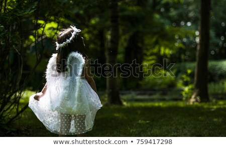 Stock photo: Girl Dressed As A Princess In A Field