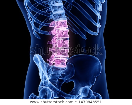 Stockfoto: 3d Rendering Medical Illustration Of The Human Skull