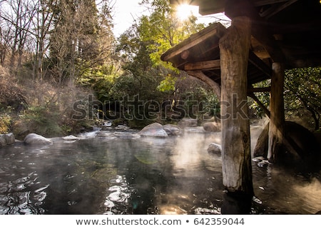 Stock photo: Steamy Hot Spring