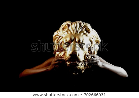 Foto stock: African Lion And Masks