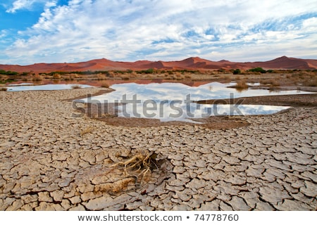 Сток-фото: Dry River In Sossusvlei Namibia