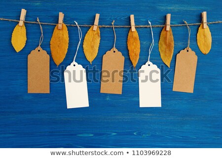 Stock photo: Price Tag From With Twine On Dry Autumn Leaves Background