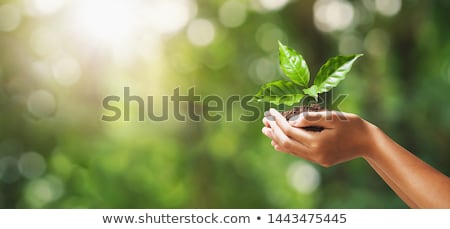 Stock photo: Green Energy