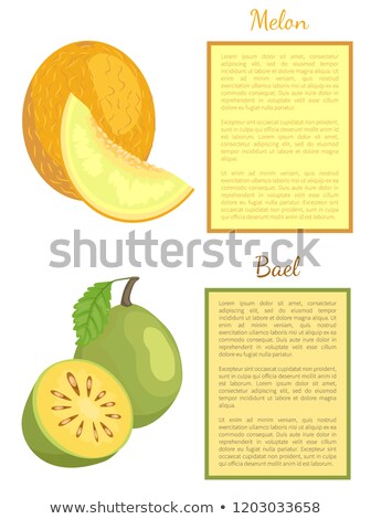 [[stock_photo]]: Bael Exotic Juicy Fruit Vector Melon Whole Cut