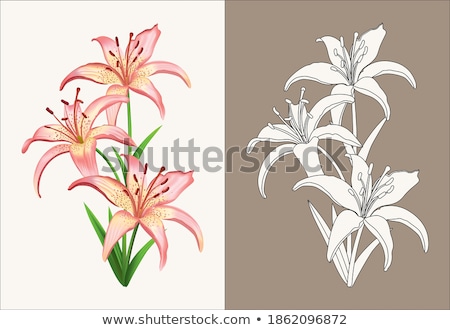 Stock photo: Leafs Of Lilies