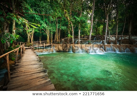 ストックフォト: Tropical Rain Forest Jangles With Kuang Si Cascade Waterfall Laos