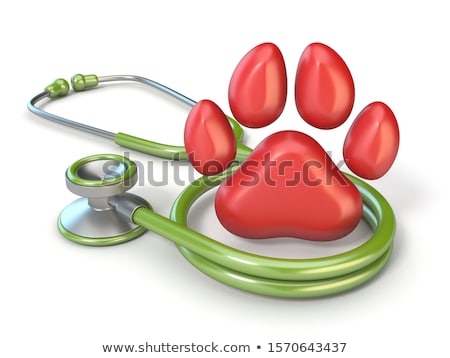Сток-фото: Green Stethoscope And Red Paw 3d