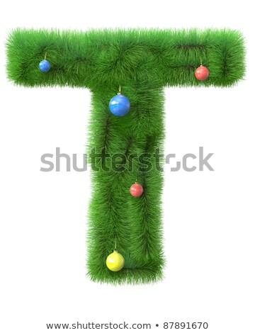 Zdjęcia stock: T Letter Made Of Christmas Tree Branches