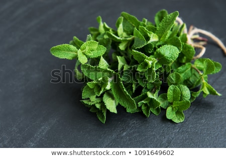 Bunch Of Fresh Mint Foto stock © almaje
