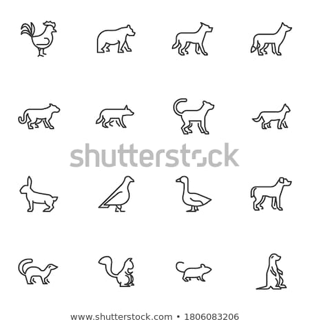 Stockfoto: Vector Flat Style Illustration Of Marmot Icon For Web