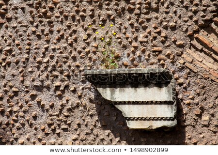 Foto d'archivio: Decorated Architectural Stone Detail Of Roman Forum