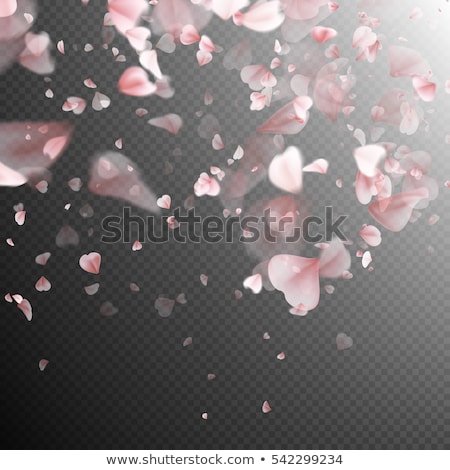 [[stock_photo]]: Card For Congratulation Or Invitation With Pink Roses