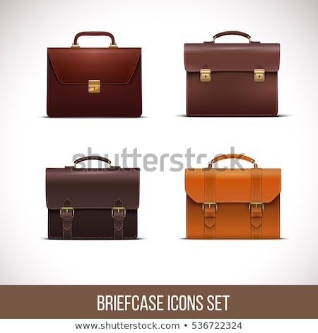 Stock fotó: Businessman With Briefcase Set Vector Illustration