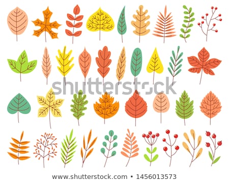 Foto stock: Golden Autumn Icons Vector Set