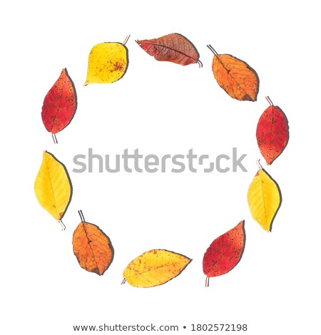 Stockfoto: Autumn Leaves Circle Background