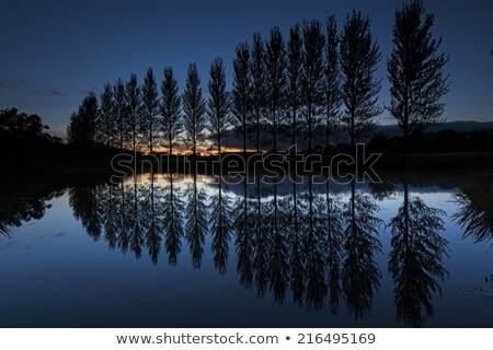 Stockfoto: Symmetry Reflection