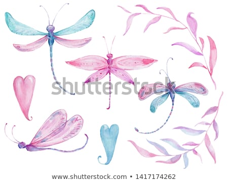 Stock photo: Damselfly Or Little Dragonfly