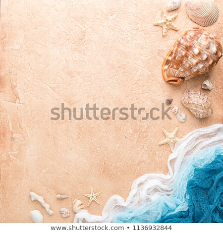 Stok fotoğraf: Tropical Beach Square Composition