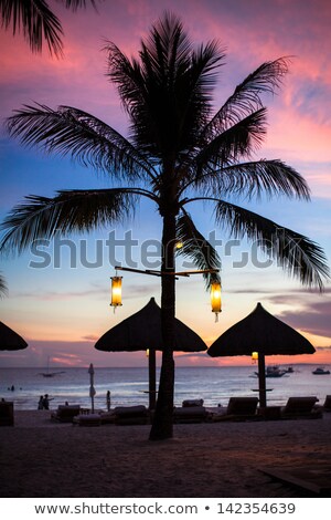 ストックフォト: Blue Pink And Red Sunset Over Sea Beach With Palmtree Silhouette