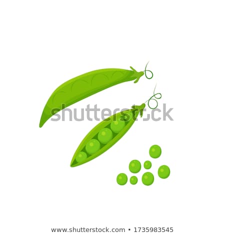 Foto stock: Os · guisantes · en · una · vaina