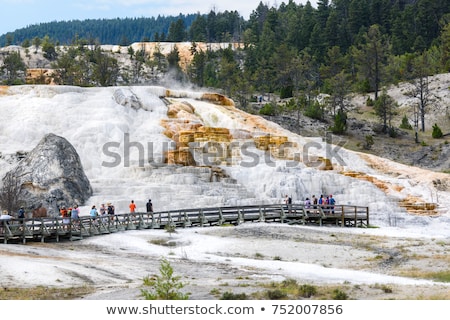 Foto stock: Mammoth Hot Springs Terraces Yellowstone National Park