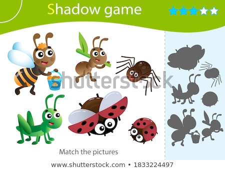 Foto stock: Bee Find Right Shadow