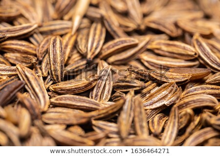 Zdjęcia stock: Detail Of Caraway Seeds