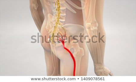 Foto stock: Sciatic Nerve Pain