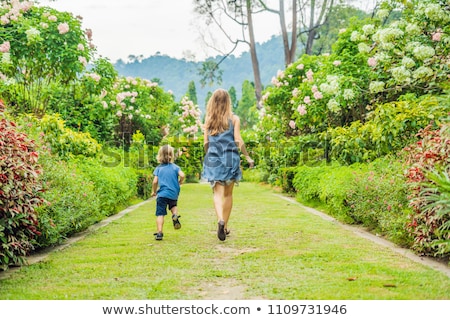 Foto stock: Mom And Son Are Running Around In The Blooming Garden Happy Family Life Style Concept