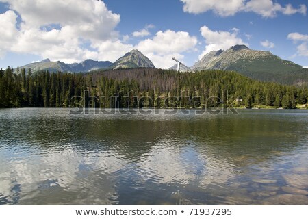 Foto stock: Field With A Tree Vysoke Tatry High Tatras Slovakia